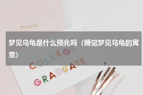 梦见乌龟是什么预兆吗（睡觉梦见乌龟的寓意）