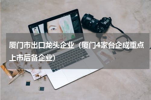 厦门市出口龙头企业（厦门4家台企成重点上市后备企业）