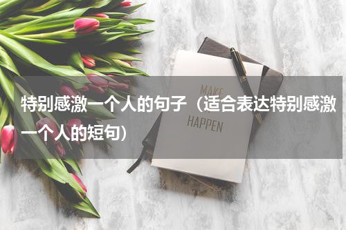 特别感激一个人的句子（适合表达特别感激一个人的短句）