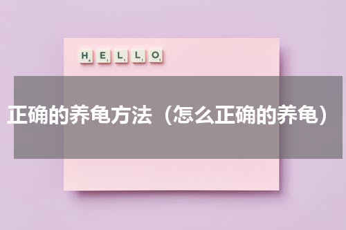 正确的养龟方法（怎么正确的养龟）