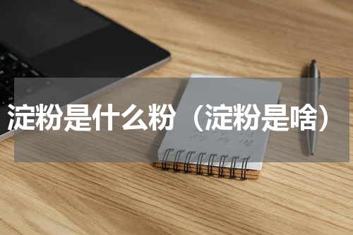淀粉是什么粉（淀粉是啥）