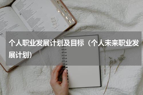 个人职业发展计划及目标（个人未来职业发展计划）