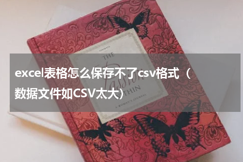 excel表格怎么保存不了csv格式（数据文件如CSV太大）