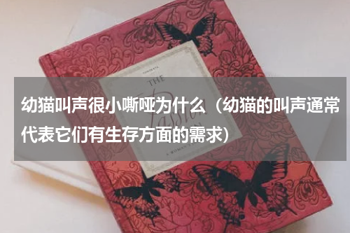 幼猫叫声很小嘶哑为什么（幼猫的叫声通常代表它们有生存方面的需求）