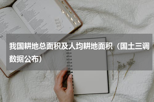 我国耕地总面积及人均耕地面积（国土三调数据公布）