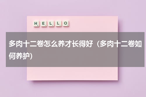 多肉十二卷怎么养才长得好（多肉十二卷如何养护）