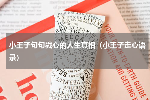 小王子句句戳心的人生真相（小王子走心语录）