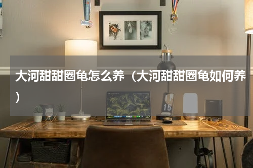 大河甜甜圈龟怎么养（大河甜甜圈龟如何养）