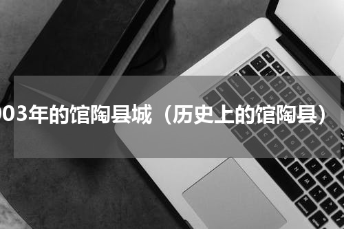 2003年的馆陶县城（历史上的馆陶县）