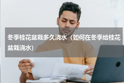 冬季桂花盆栽多久浇水（如何在冬季给桂花盆栽浇水）