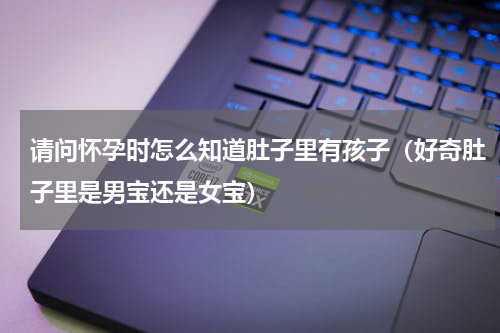 请问怀孕时怎么知道肚子里有孩子（好奇肚子里是男宝还是女宝）
