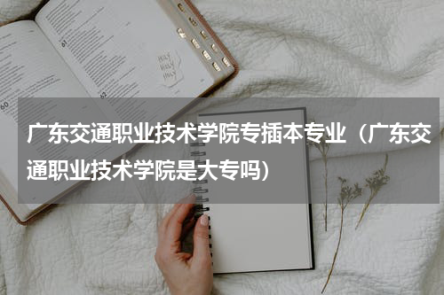 广东交通职业技术学院专插本专业（广东交通职业技术学院是大专吗）