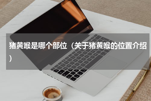 猪黄喉是哪个部位（关于猪黄喉的位置介绍）