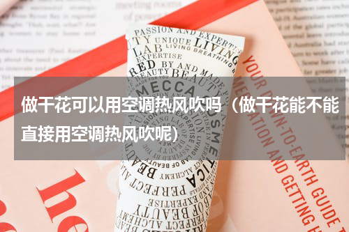 做干花可以用空调热风吹吗（做干花能不能直接用空调热风吹呢）