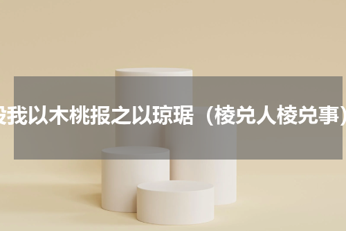 投我以木桃报之以琼琚（棱兑人棱兑事）