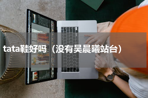 tata鞋好吗（没有吴晨曦站台）
