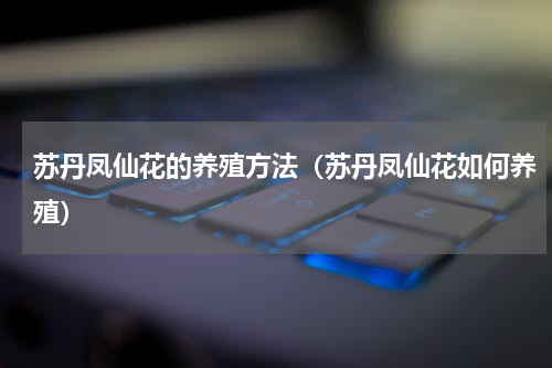 苏丹凤仙花的养殖方法（苏丹凤仙花如何养殖）