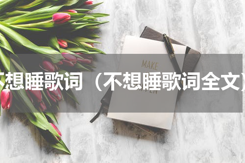 不想睡歌词（不想睡歌词全文）