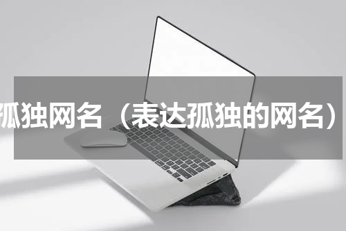 孤独网名（表达孤独的网名）