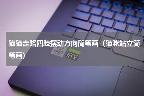 猫猫走路四肢摆动方向简笔画（猫咪站立简笔画）