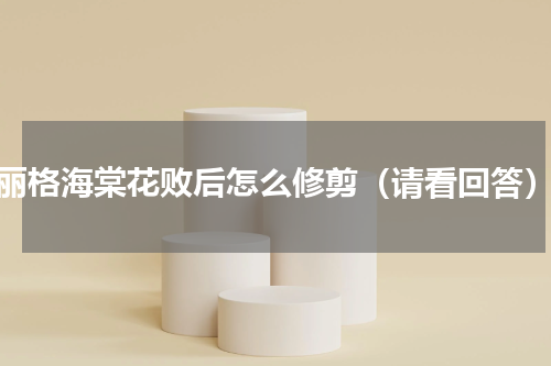 丽格海棠花败后怎么修剪（请看回答）