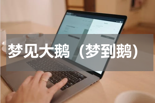 梦见大鹅（梦到鹅）