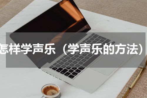 怎样学声乐（学声乐的方法）
