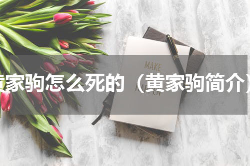 黄家驹怎么死的（黄家驹简介）