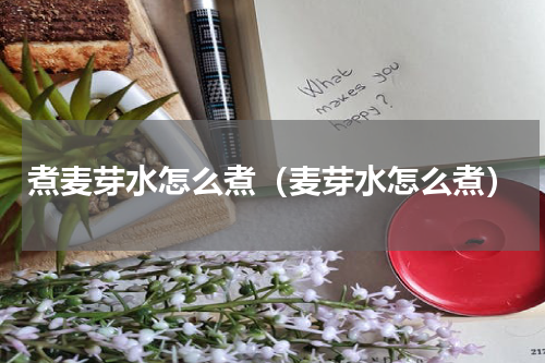 煮麦芽水怎么煮（麦芽水怎么煮）