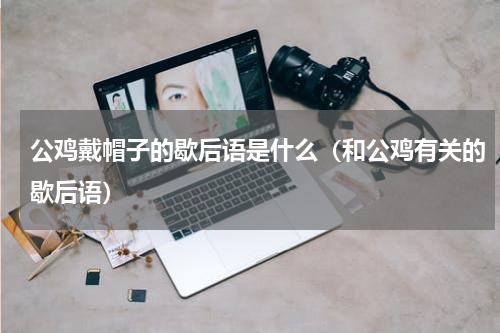公鸡戴帽子的歇后语是什么（和公鸡有关的歇后语）