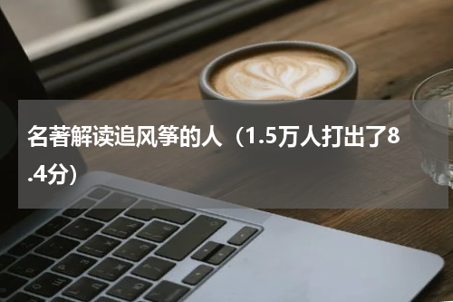 名著解读追风筝的人（1.5万人打出了8.4分）