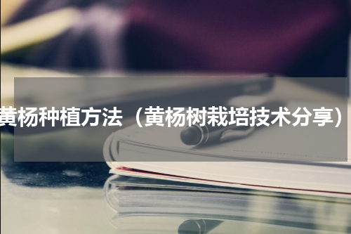 黄杨种植方法（黄杨树栽培技术分享）
