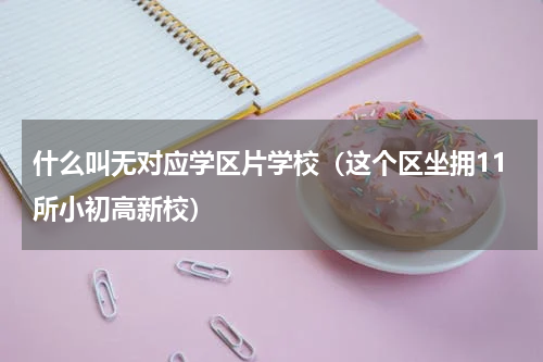 什么叫无对应学区片学校（这个区坐拥11所小初高新校）