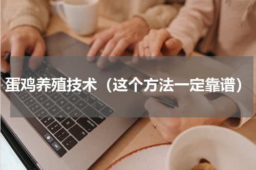 蛋鸡养殖技术（这个方法一定靠谱）