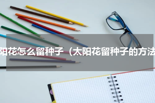 太阳花怎么留种子（太阳花留种子的方法）