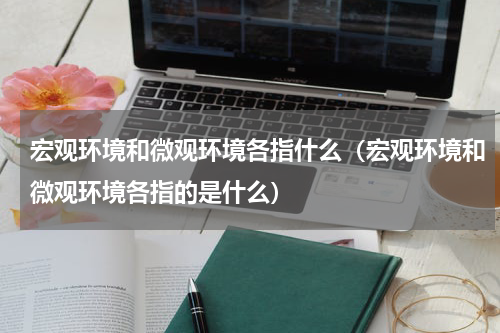 宏观环境和微观环境各指什么（宏观环境和微观环境各指的是什么）