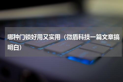 哪种门锁好用又实用（微盾科技一篇文章搞明白）