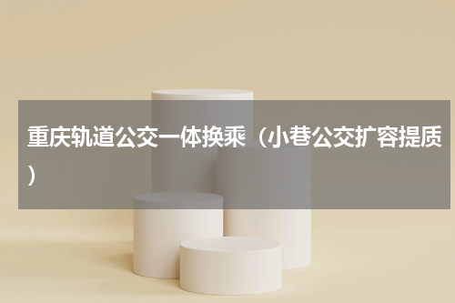 重庆轨道公交一体换乘（小巷公交扩容提质）