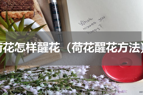 荷花怎样醒花（荷花醒花方法）