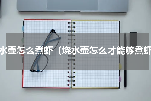 烧水壶怎么煮虾（烧水壶怎么才能够煮虾）