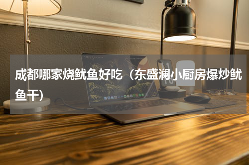 成都哪家烧鱿鱼好吃（东盛澜小厨房爆炒鱿鱼干）