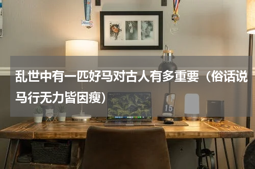 乱世中有一匹好马对古人有多重要（俗话说马行无力皆因瘦）