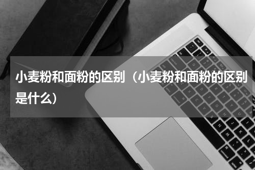 小麦粉和面粉的区别（小麦粉和面粉的区别是什么）