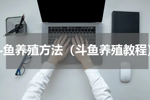 斗鱼养殖方法（斗鱼养殖教程）