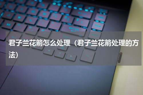君子兰花箭怎么处理（君子兰花箭处理的方法）