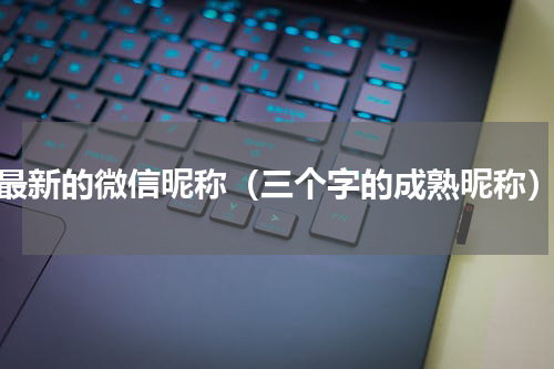 最新的微信昵称（三个字的成熟昵称）