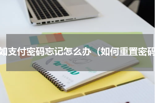 假如支付密码忘记怎么办（如何重置密码）