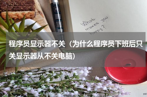程序员显示器不关（为什么程序员下班后只关显示器从不关电脑）