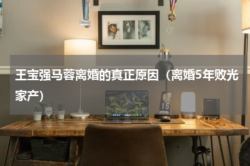 王宝强马蓉离婚的真正原因（离婚5年败光家产）