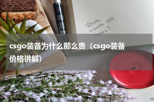 csgo装备为什么那么贵（csgo装备价格讲解）